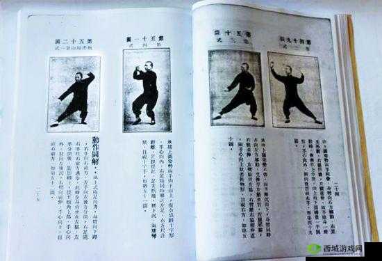 江湖之秘：武当山太极拳任务与迷阵全攻略