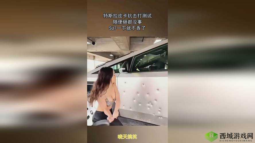猫咪 MV 最新地域网名怎么取：创意与灵感