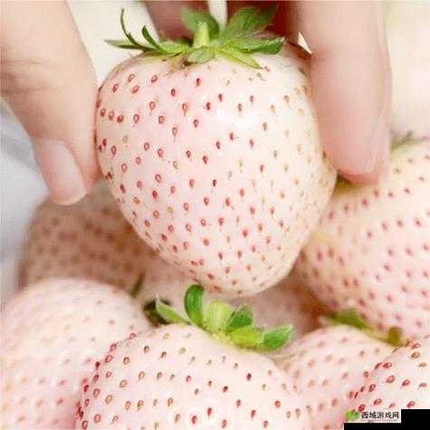 草莓香蕉榴莲 9w97w 乳液 lisa 超吸睛作品