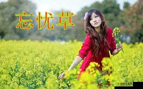 久久丫忘忧草，美味独特超受欢迎