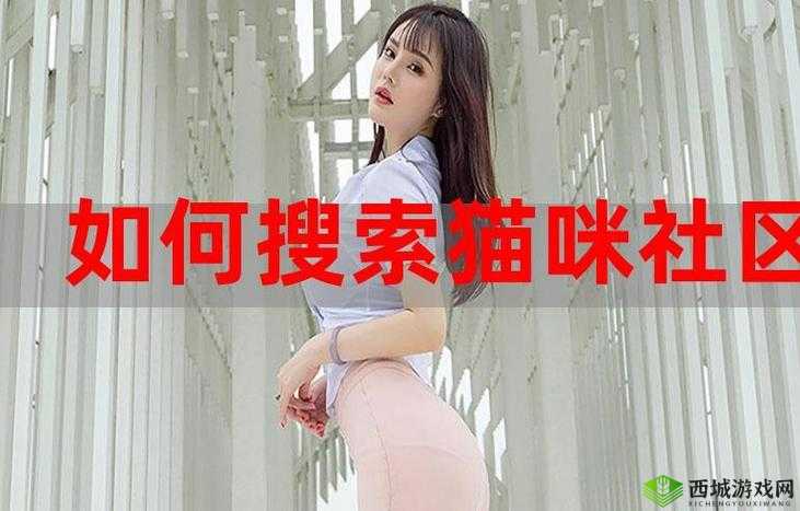 猫咪社区 WWW 在线资源解锁版再次免费开放啦