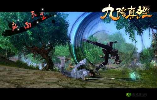 解析旋风扫叶逍遥腿法武学之精妙奥秘与实战应用