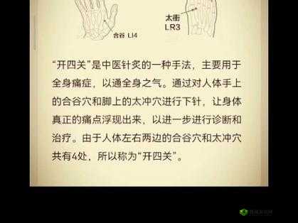 穴医她想逃从古至今的医术传承与发展