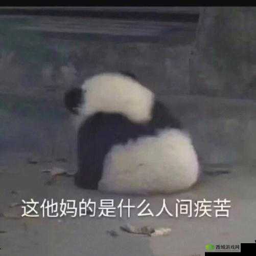 啊啊啊你tm别舔了：让人崩溃的瞬间