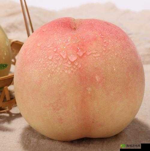 水蜜桃 4 双管齐下：甜蜜多汁好味道