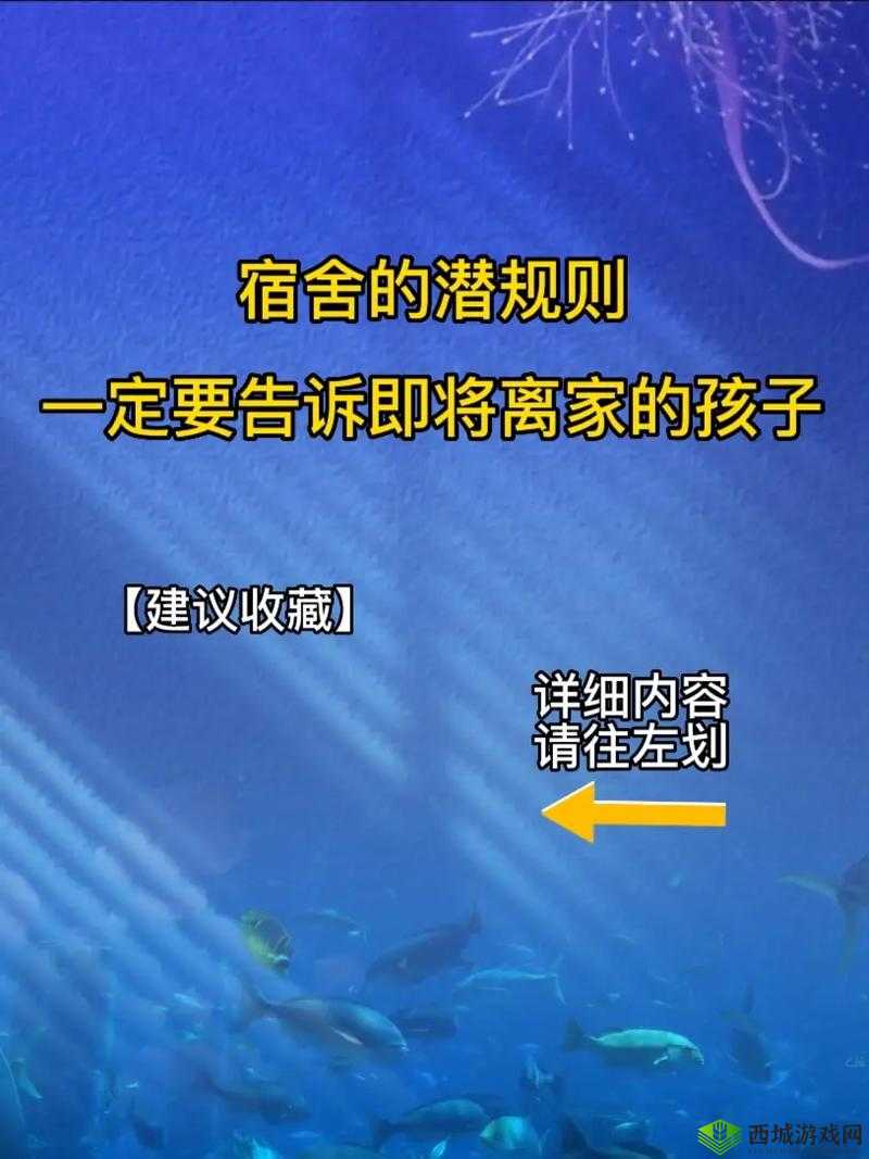 506 寝室的灯灭以后：一场离奇的事件即将展开
