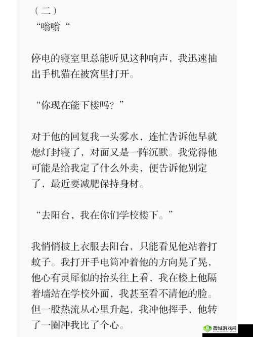 真实事件改编：闯入者与老妇的荒诞故事