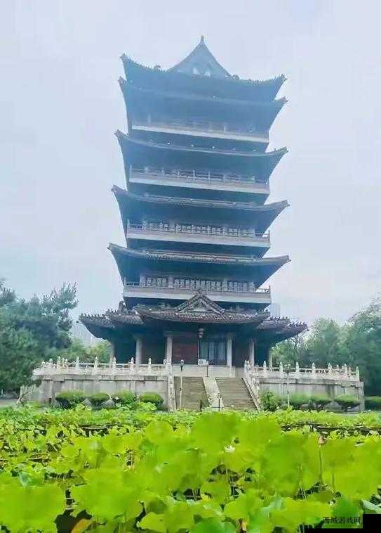 清风阁就爱干：这是我们一直坚持的事情