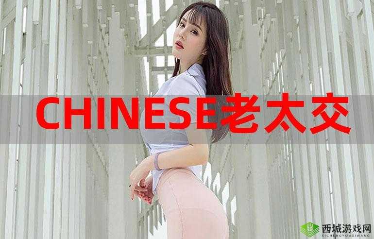 ChineSe7o 老太交 yerS：跨越代沟的爱情故事