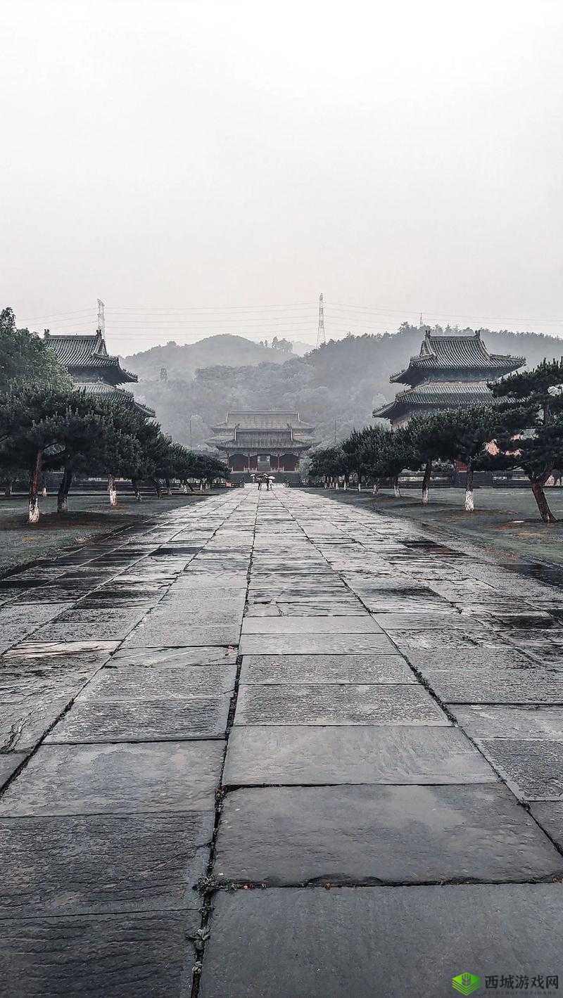 楚留香3月12日坐观万象活动，深入探寻武当玉虚宫的神秘打坐秘境