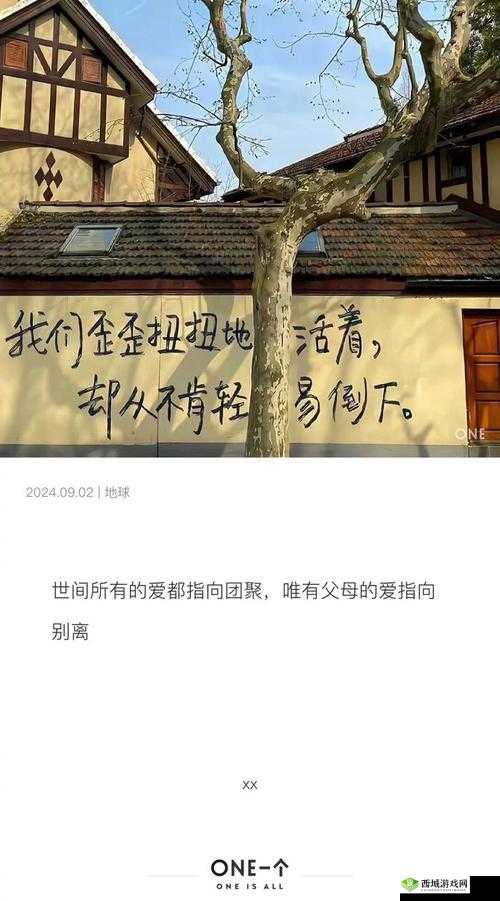 即便如此我也比你更聪慧——我的智慧不容置疑