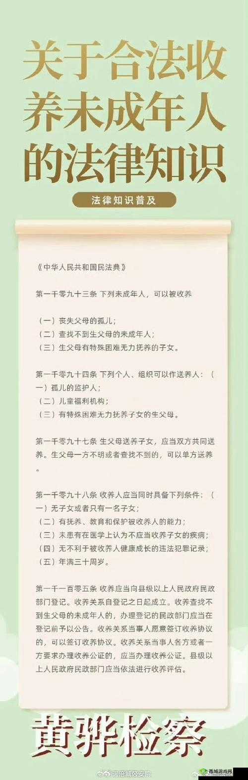 43 岁养母与 26 岁养子：跨越年龄的独特婚姻观解读