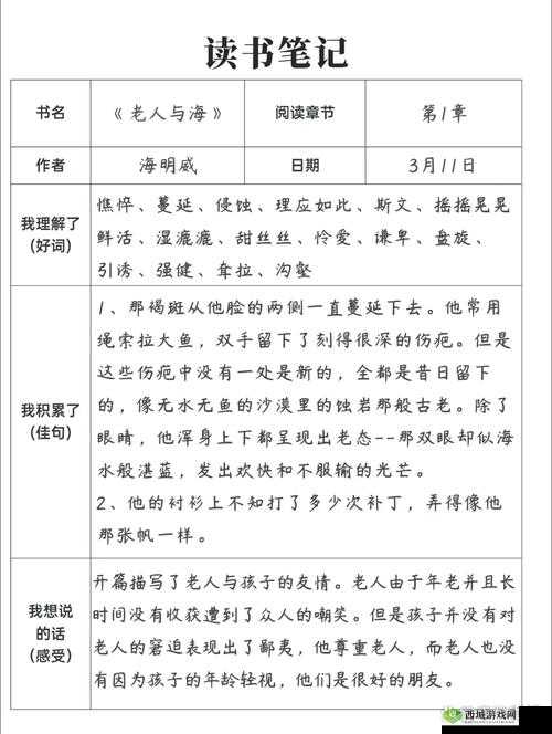 关于 may18XXXXXL56endi 的特别故事探讨