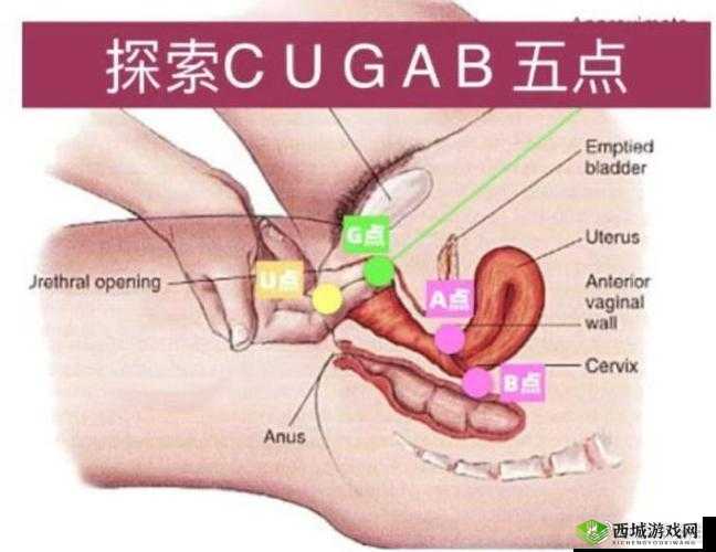 性爱的完整性：探索尤果的奇妙世界
