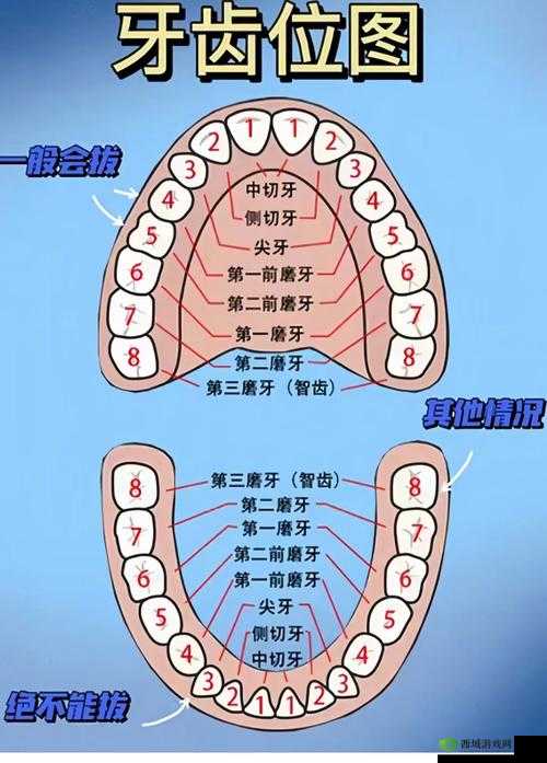 三人上面 2 人下边是什么意思？如何理解这种独特的排列模式？