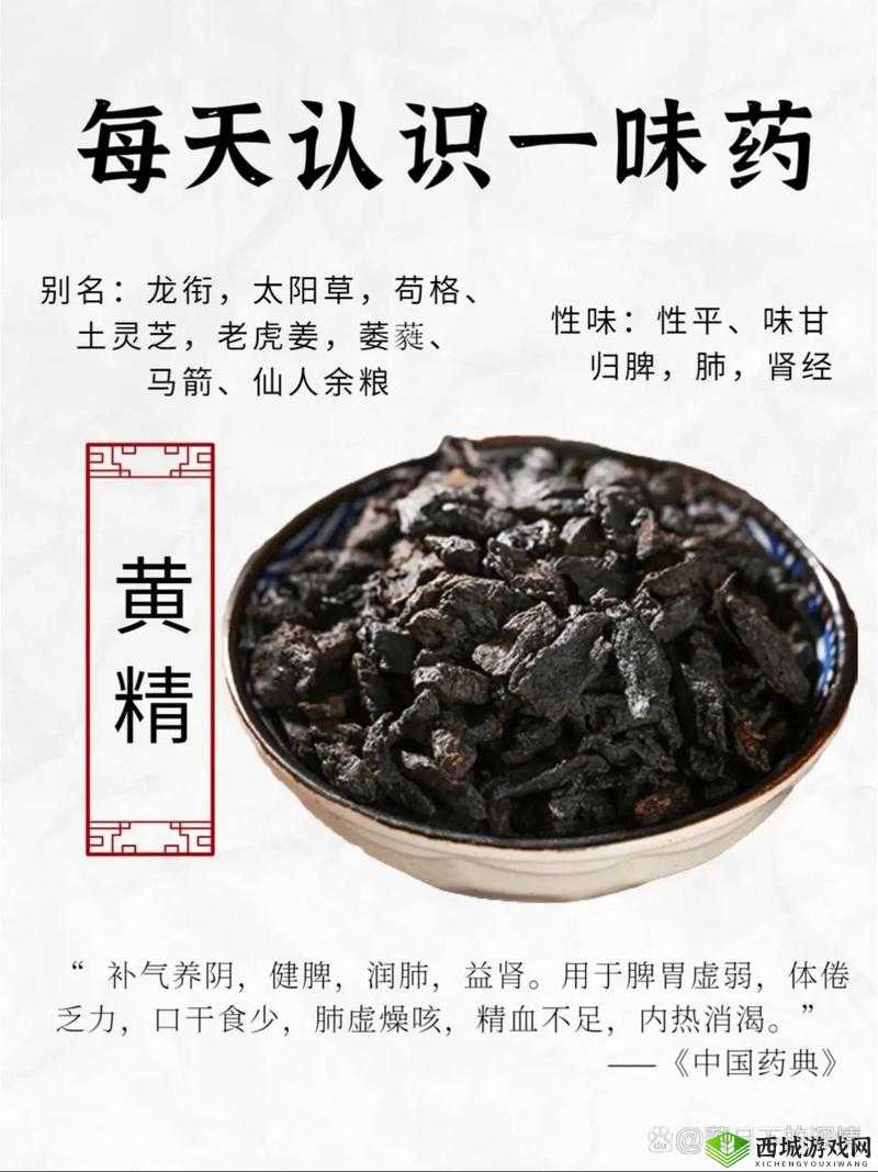 关于国精产品 W灬源码 1688，它究竟是什么？有何特别之处？